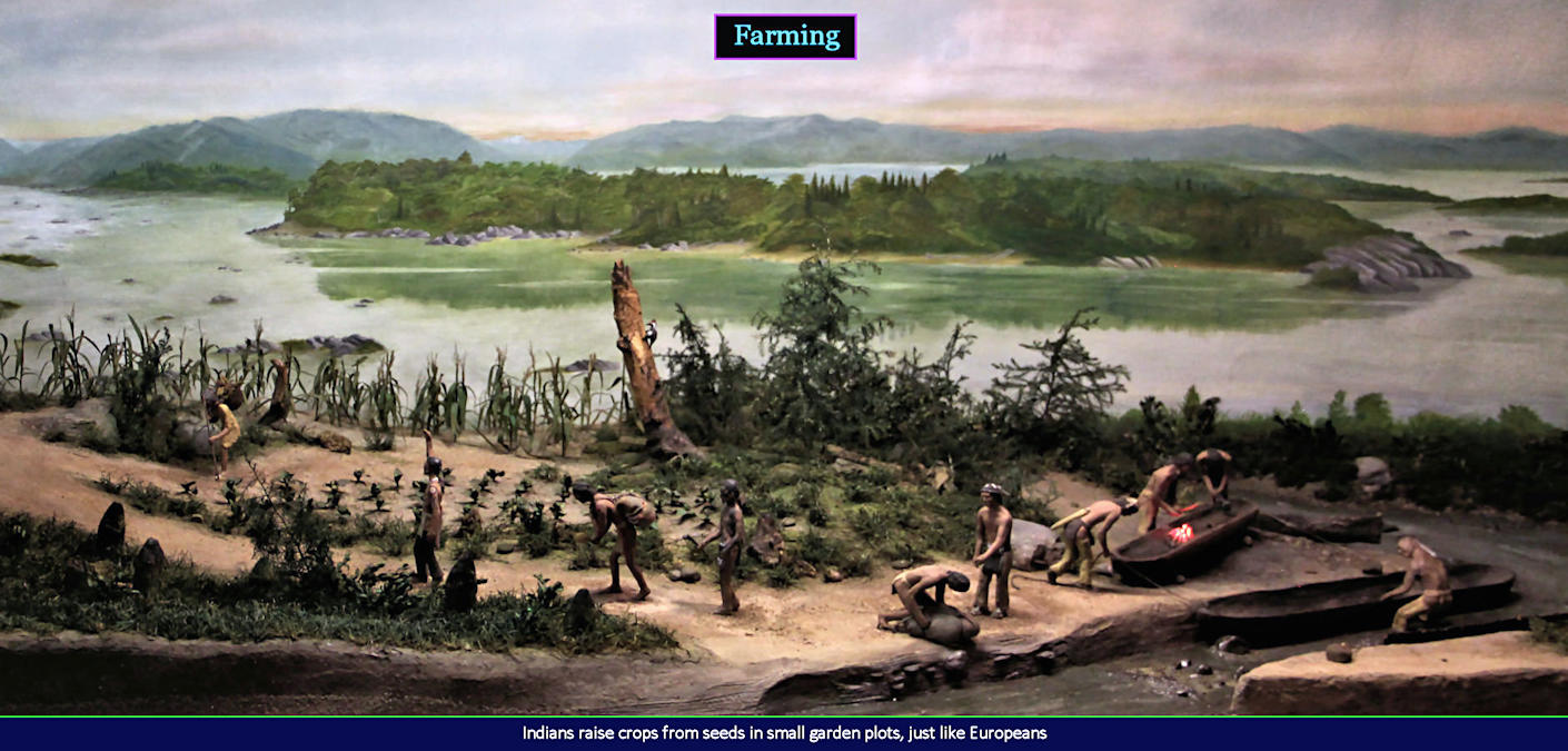 Indian farming